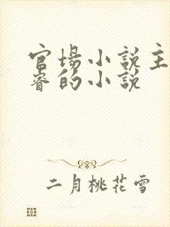 官场小说主角李睿的小说