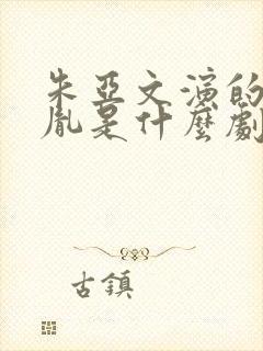 朱亚文演的赵匡胤是什么剧