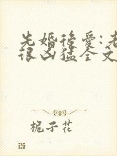 先婚后爱:老公很凶猛全文阅读免费