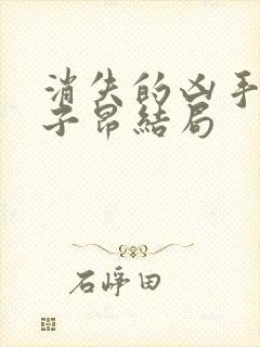 消失的凶手里许子昂结局封面