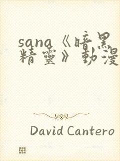 sana《暗黑精灵》动漫资源封面