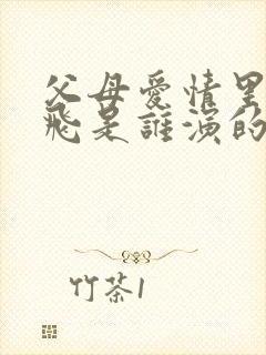 父母爱情里的亚飞是谁演的