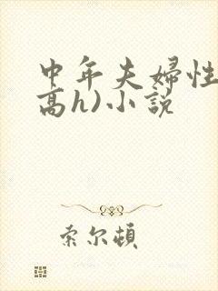 中年夫妇性事(高h)小说