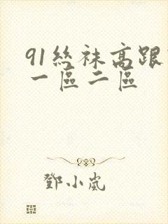 91丝袜高跟鞋一区二区