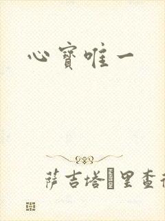心宝唯一