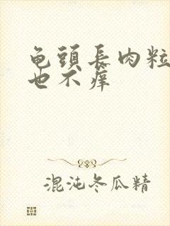 龟头长肉粒不疼也不痒