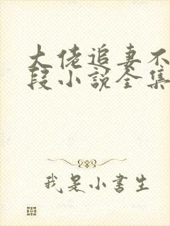 大佬追妻不择手段小说全集阅读封面