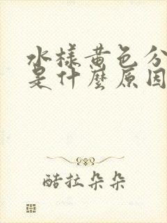 水样黄色分泌物是什么原因