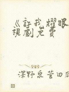 《许我耀眼》电视剧免费