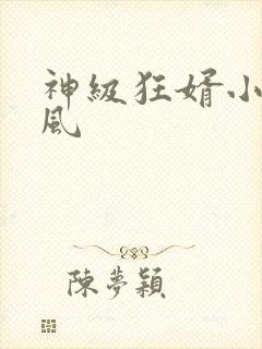 神级狂婿小说岳风