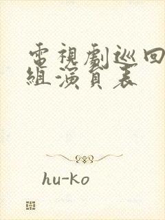 电视剧巡回检察组演员表