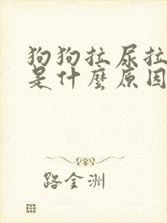 狗狗拉尿拉出血是什么原因