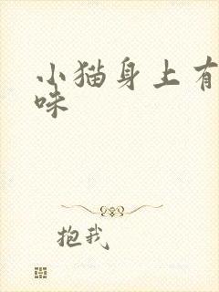 小猫身上有尿骚味封面