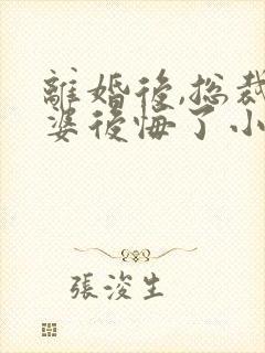 离婚后,总裁老婆后悔了小说网