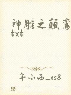 神雕之颠鸾倒凤txt封面