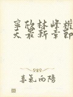 宁欣林峰权势滔天最新章节