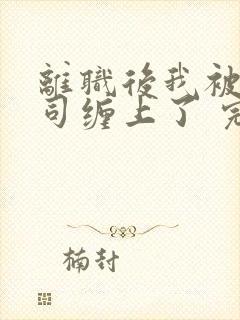 离职后我被前上司缠上了 完结版封面