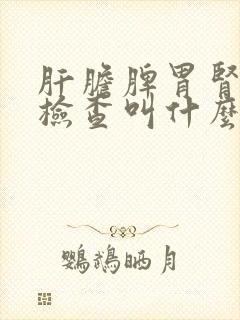 肝胆脾胃肾五项检查叫什么封面