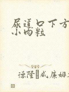 尿道口下方有个小肉粒