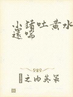 小猪吐黄水粘液还喘