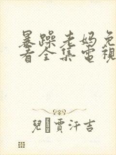 暴躁老妈免费观看全集电视剧下载