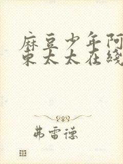 麻豆少年阿宾房东太太在线观看