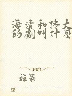 海清和佟大为演的剧叫什么