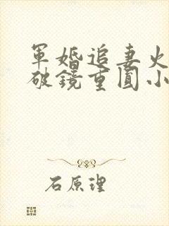 军婚追妻火葬场破镜重圆小说