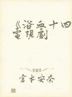 《浴血十四年》电视剧