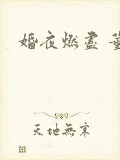 婚夜燃尽 董一封面