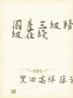 国产三级精品三级在线