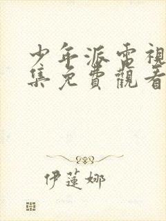 少年派电视剧全集免费观看不卡封面