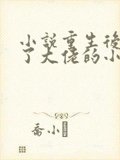 小说重生后我成了大佬的小心肝阅读