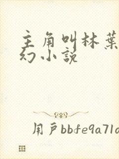 主角叫林叶的玄幻小说