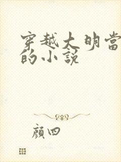 穿越大明当崇祯的小说封面