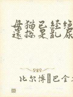 母猫已经绝育了还总是乱尿封面