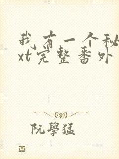 我有一个秘密txt完整番外