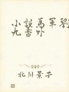 小说马军刘艳第九番外封面