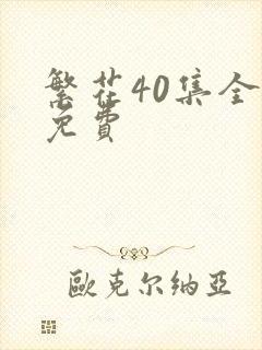 繁花40集全集免费