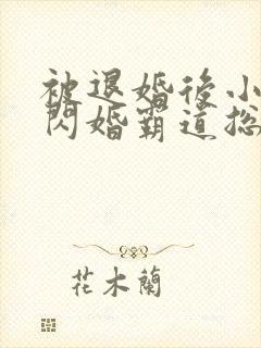 被退婚后小村姑闪婚霸道总裁短剧