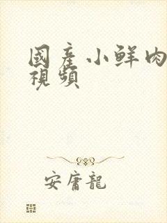 国产小鲜肉gv视频