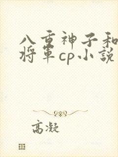 八重神子和雷电将军cp小说封面