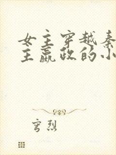 女主穿越秦朝男主嬴政的小说封面