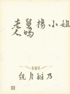 老舅杨小姐是坏人吗