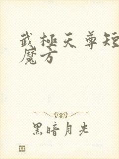 武极天尊短剧3魔方