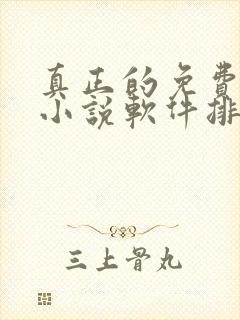 真正的免费阅读小说软件排行榜