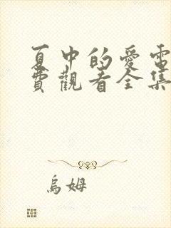 夏中的爱电影免费观看全集高清版