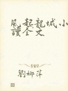 风起龙城小说阅读全文封面