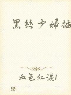 黑丝少妇插大吊