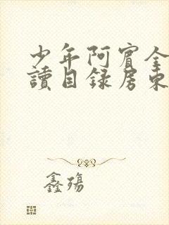 少年阿宾全文阅读目录房东